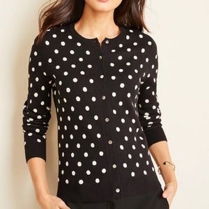 Ann Taylor Polka Dot Black and White Cardigan